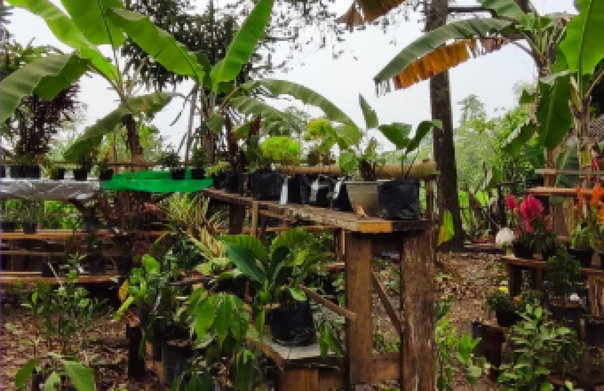 GREEN LANDCAPE & GARDENPRENEUR